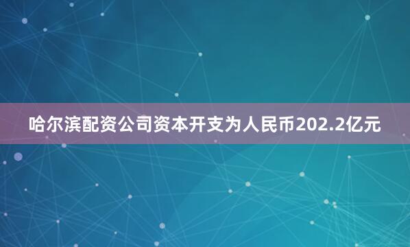 哈尔滨配资公司资本开支为人民币202.2亿元