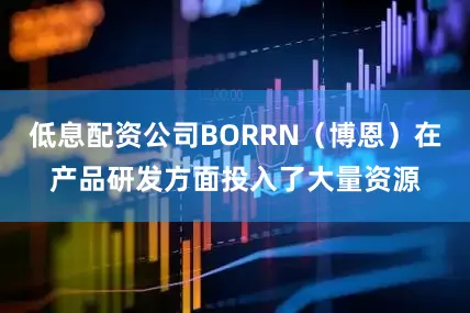 低息配资公司BORRN（博恩）在产品研发方面投入了大量资源